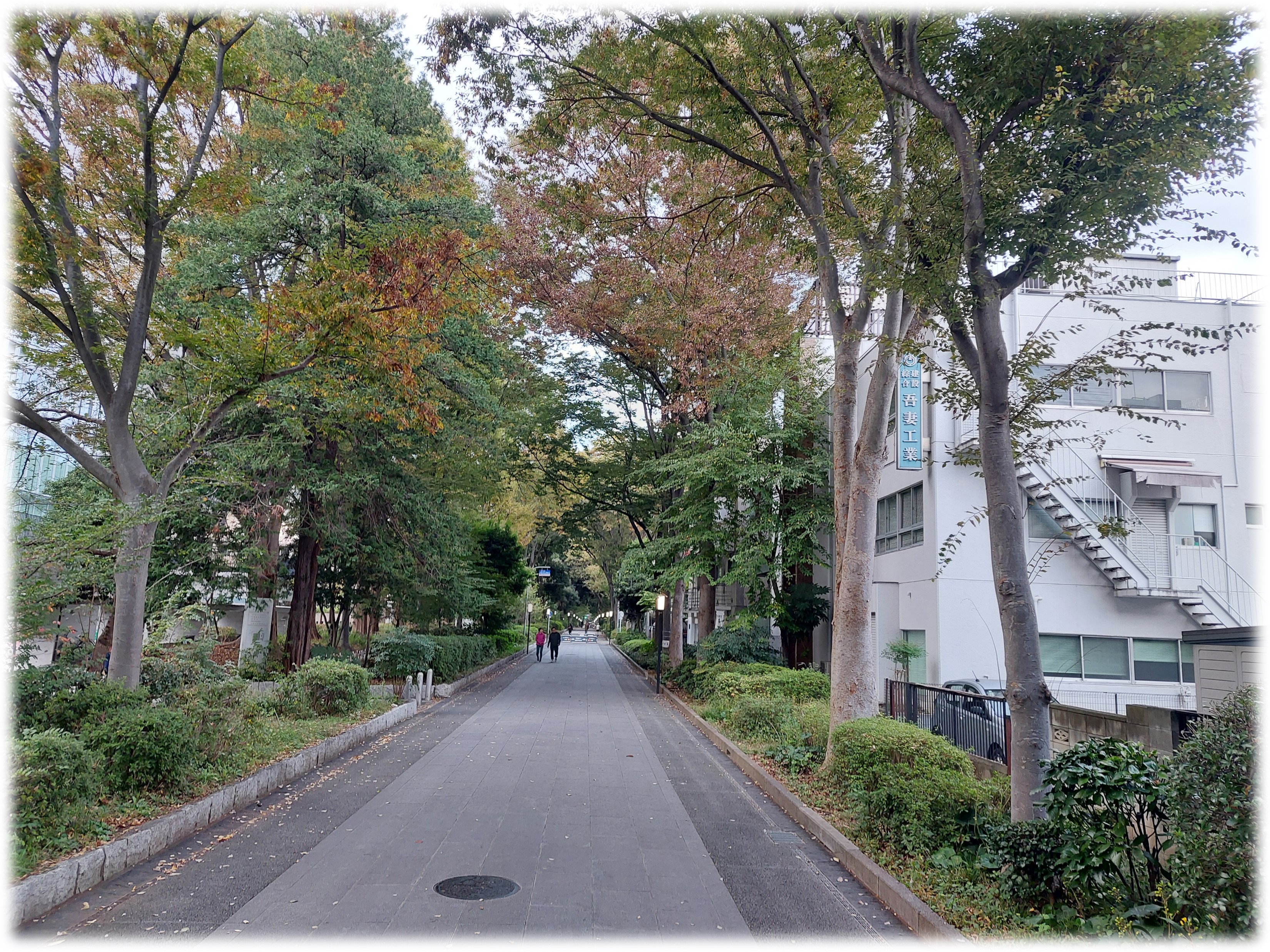 本社屋写真