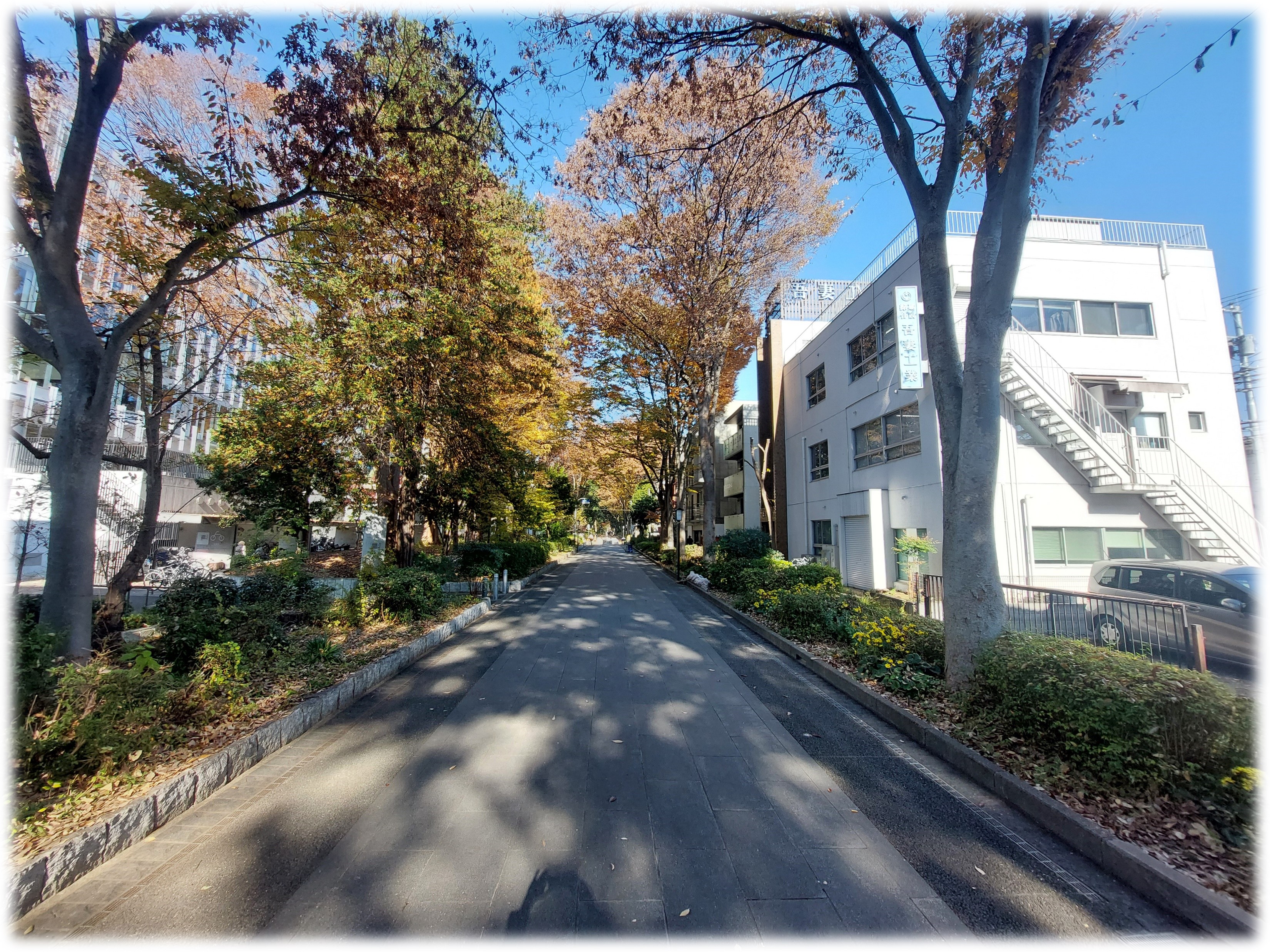 本社屋写真